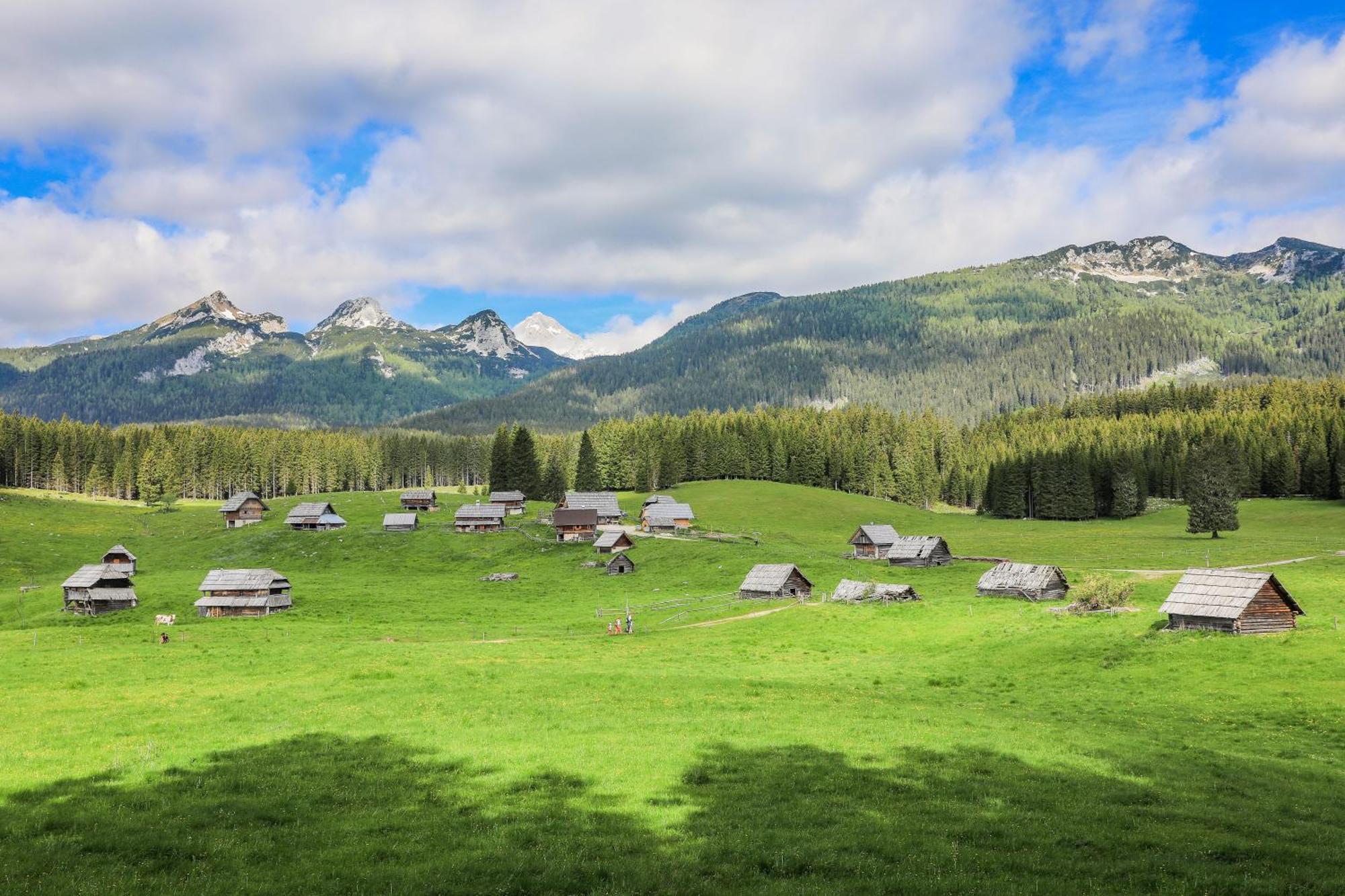 Cottage House Podgosar Bled Pokljuka Екстер'єр фото